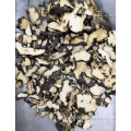 Top Quality Herb Medicine Polyporus